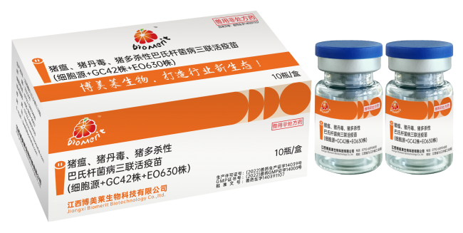 维多利亚老品牌vic(中国游)官方网站