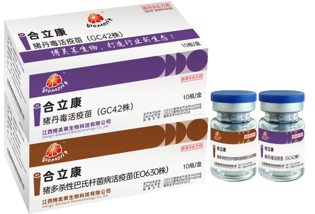 维多利亚老品牌vic(中国游)官方网站