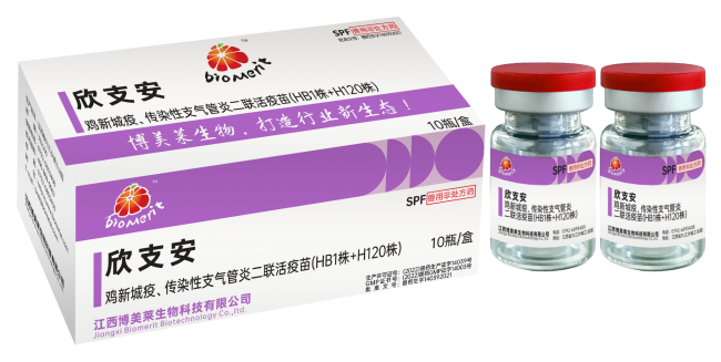 维多利亚老品牌vic(中国游)官方网站