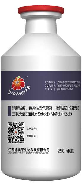 维多利亚老品牌vic(中国游)官方网站