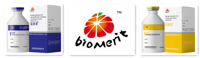 维多利亚老品牌vic(中国游)官方网站