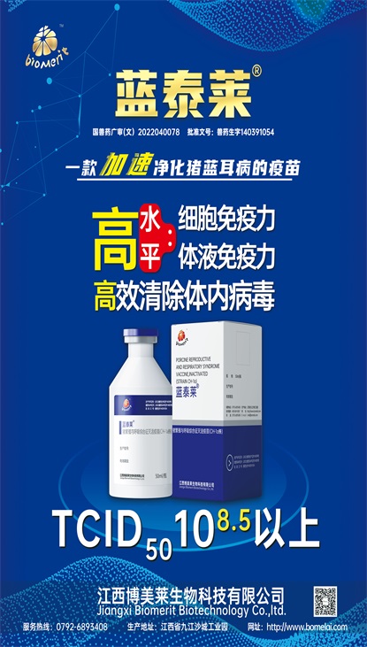 维多利亚老品牌vic(中国游)官方网站