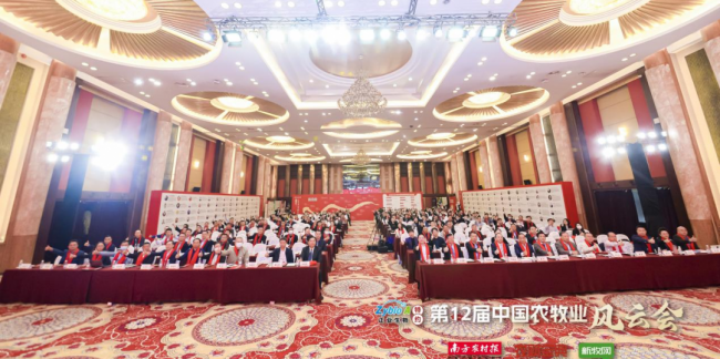 维多利亚老品牌vic(中国游)官方网站