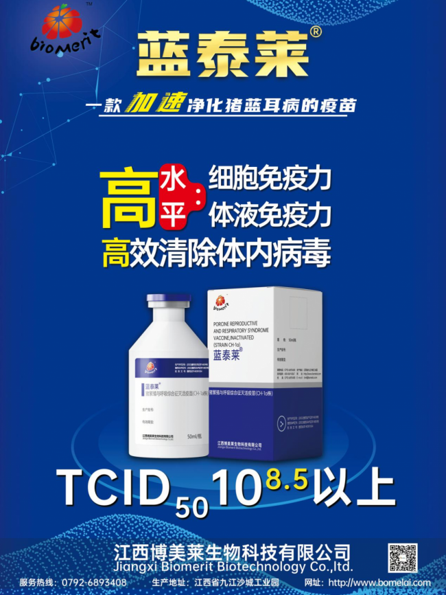 维多利亚老品牌vic(中国游)官方网站