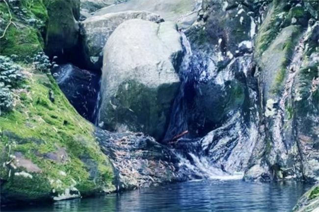 维多利亚老品牌vic(中国游)官方网站