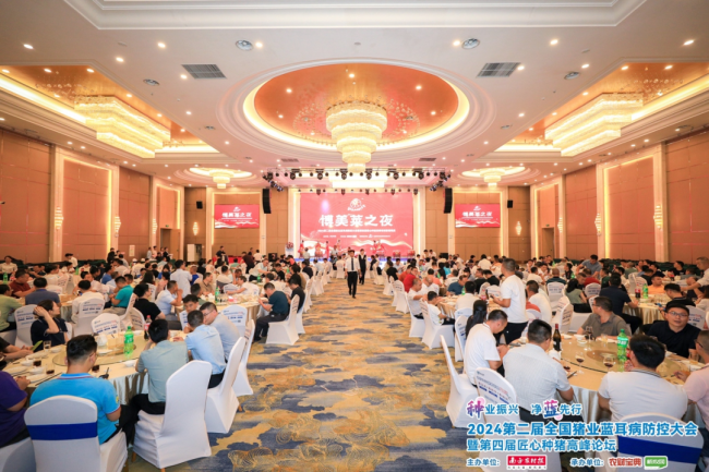 维多利亚老品牌vic(中国游)官方网站