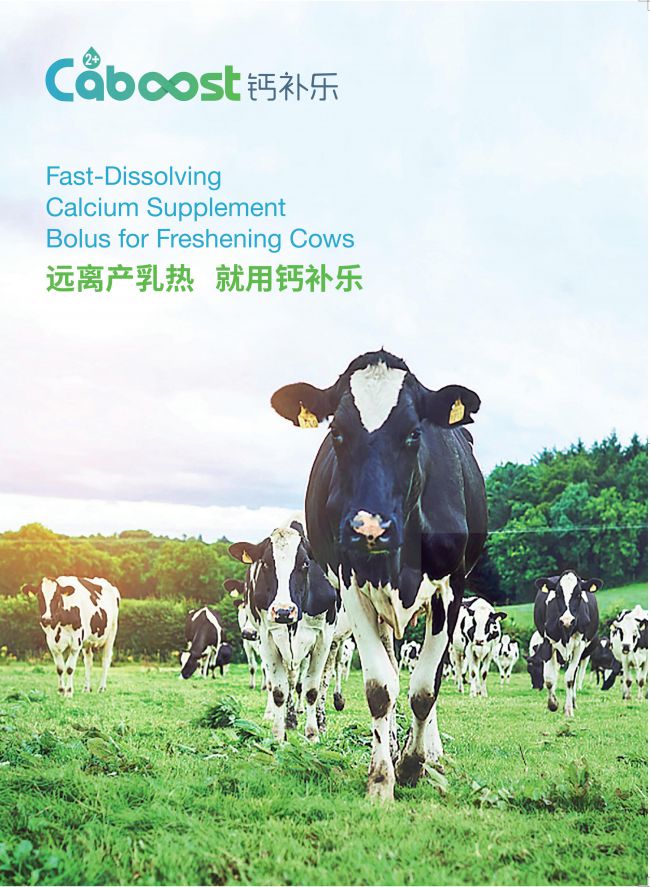 维多利亚老品牌vic(中国游)官方网站