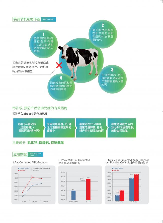 维多利亚老品牌vic(中国游)官方网站