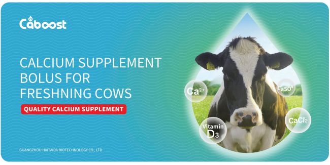 维多利亚老品牌vic(中国游)官方网站