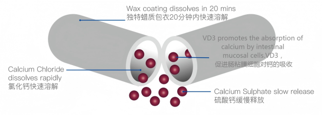 维多利亚老品牌vic(中国游)官方网站