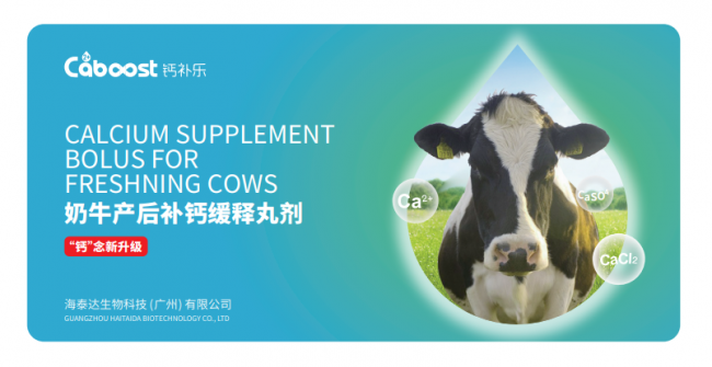 维多利亚老品牌vic(中国游)官方网站