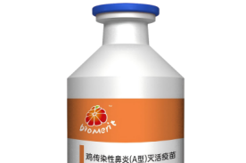 鸡熏染性鼻炎(A型)灭活疫苗